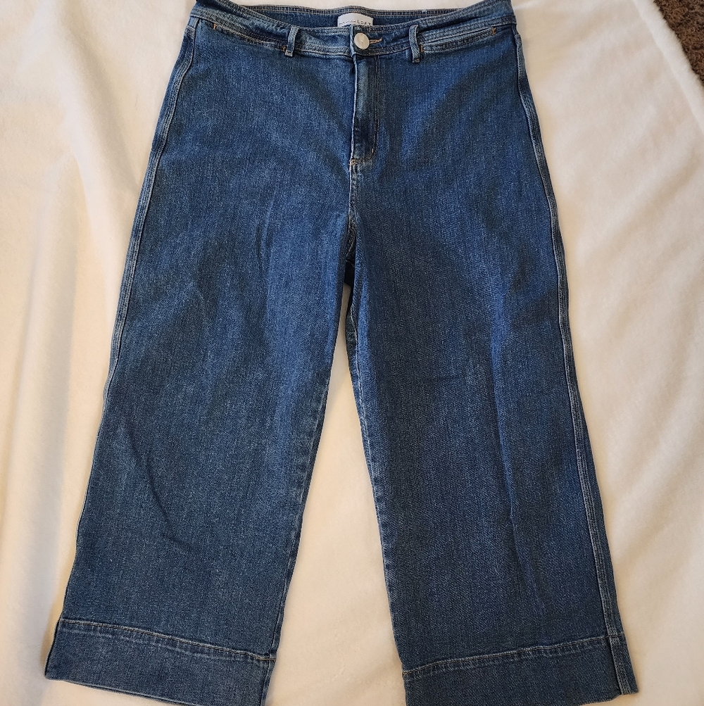 LOFT The Pakmer Wide-Leg Cropped Jeans